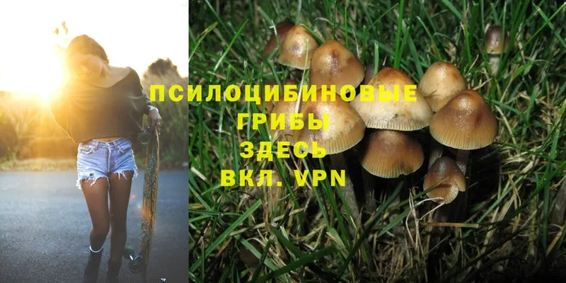 Галлюциногенные грибы Magic Shrooms  hydra онион  Зима 